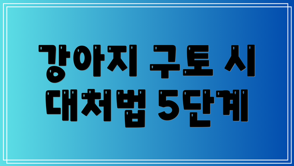 강아지 구토 시  대처법 5단계