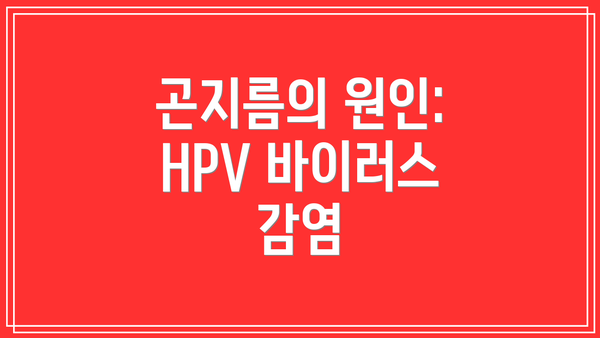 곤지름의 원인: HPV 바이러스 감염