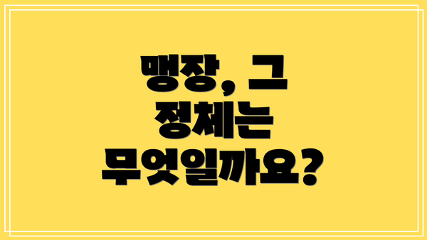 맹장, 그 정체는 무엇일까요?