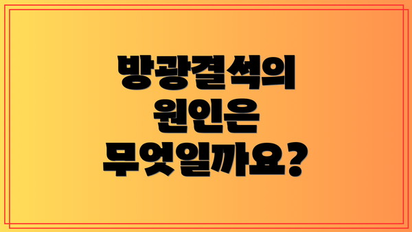 방광결석의 원인은 무엇일까요?