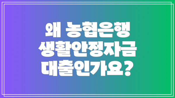 왜 농협은행 생활안정자금 대출인가요?