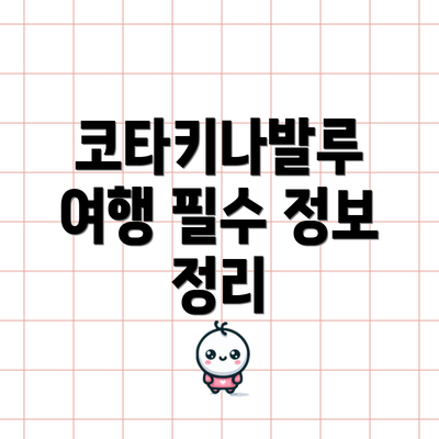 코타키나발루 여행 필수 정보 정리