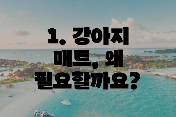 1. 강아지 매트, 왜 필요할까요?