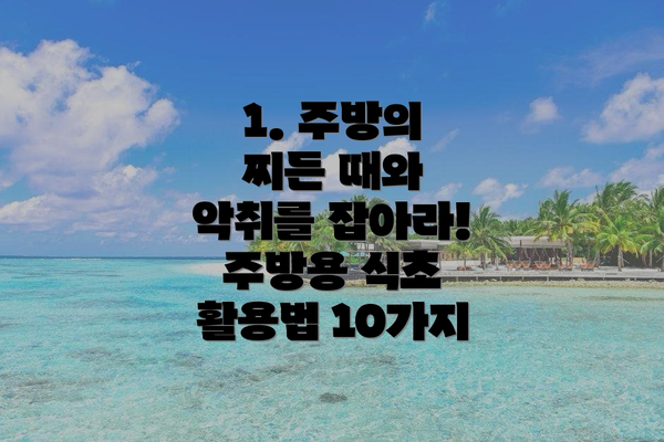 1. 주방의 찌든 때와 악취를 잡아라! 주방용 식초 활용법 10가지