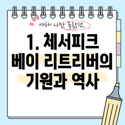 1. 체서피크 베이 리트리버의 기원과 역사