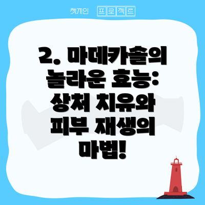 2. 마데카솔의 놀라운 효능: 상처 치유와 피부 재생의 마법!