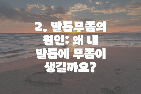2. 발톱무좀의 원인: 왜 내 발톱에 무좀이 생길까요?