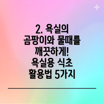 2. 욕실의 곰팡이와 물때를 깨끗하게! 욕실용 식초 활용법 5가지