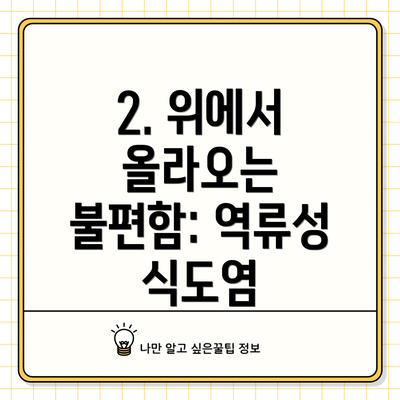 2. 위에서 올라오는 불편함: 역류성 식도염