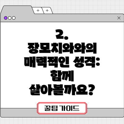 2. 장모치와와의 매력적인 성격:  함께 살아볼까요?