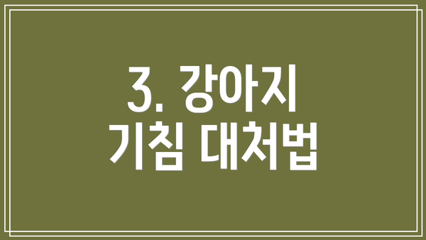 3. 강아지 기침 대처법