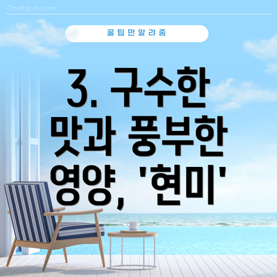 3. 구수한 맛과 풍부한 영양, '현미'