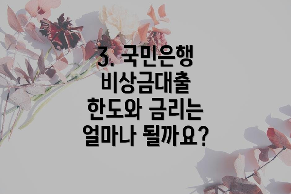 3. 국민은행 비상금대출 한도와 금리는 얼마나 될까요?
