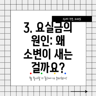 3. 요실금의 원인: 왜 소변이 새는 걸까요?
