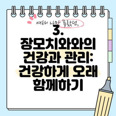 3. 장모치와와의 건강과 관리: 건강하게 오래 함께하기