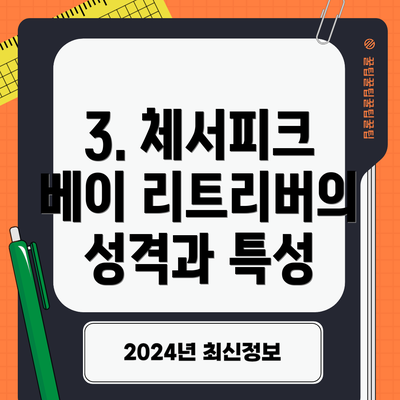 3. 체서피크 베이 리트리버의 성격과 특성