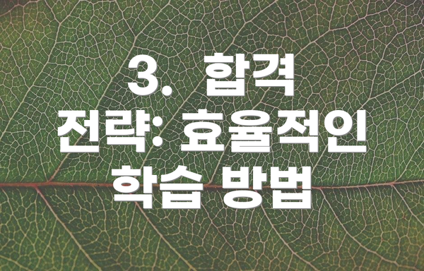 3.  합격 전략: 효율적인 학습 방법