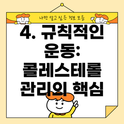 4. 규칙적인 운동: 콜레스테롤 관리의 핵심