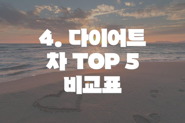 4. 다이어트 차 TOP 5 비교표