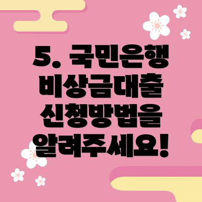 5. 국민은행 비상금대출 신청방법을 알려주세요!