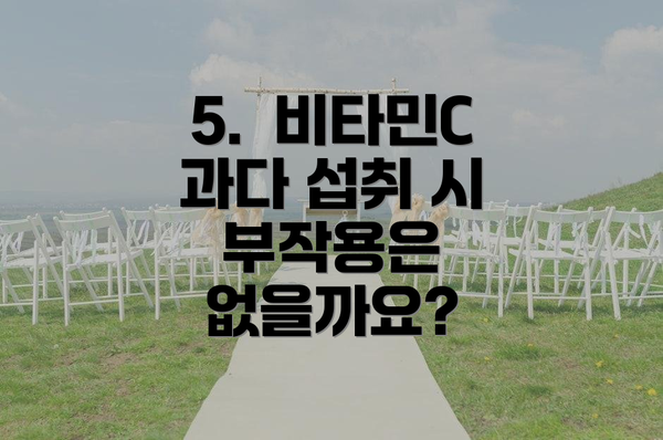 5.  비타민C 과다 섭취 시 부작용은 없을까요?