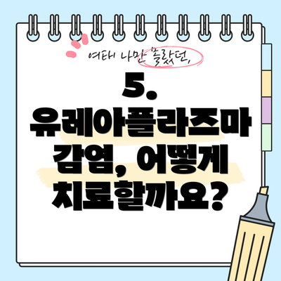 5. 유레아플라즈마 감염, 어떻게 치료할까요?