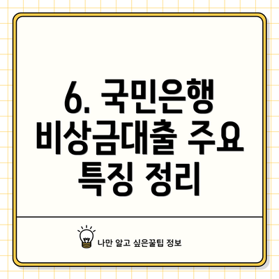 6. 국민은행 비상금대출 주요 특징 정리