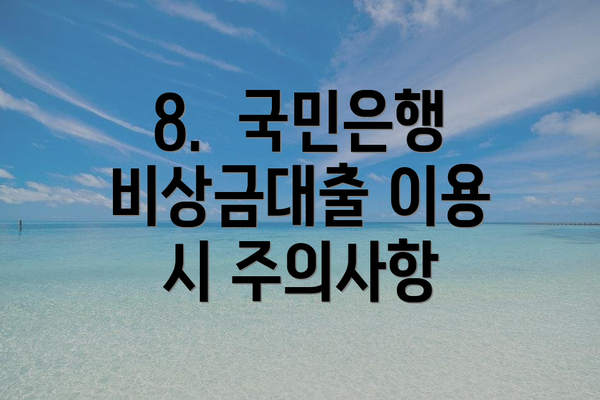 8.  국민은행 비상금대출 이용 시 주의사항