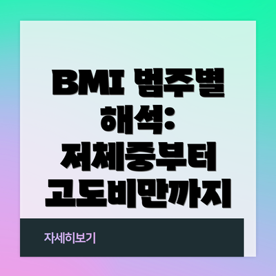 BMI 범주별 해석: 저체중부터 고도비만까지