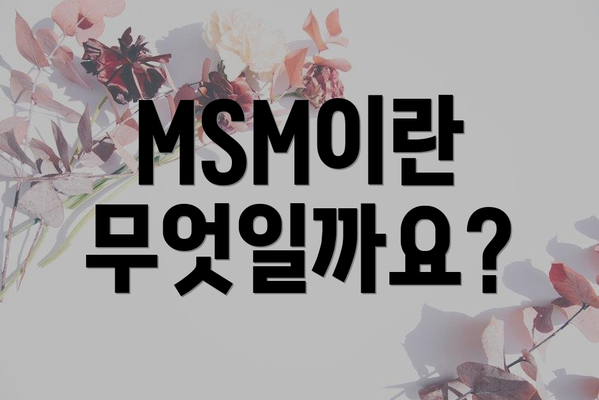 MSM이란 무엇일까요?