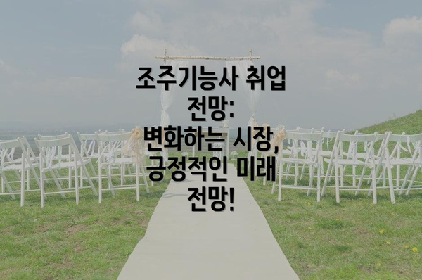 조주기능사 취업 전망:  변화하는 시장, 긍정적인 미래 전망!