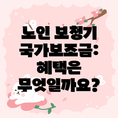 노인 보청기 국가보조금: 혜택은 무엇일까요?