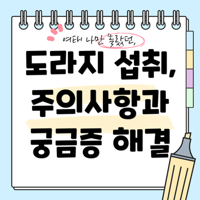 도라지 섭취, 주의사항과 궁금증 해결