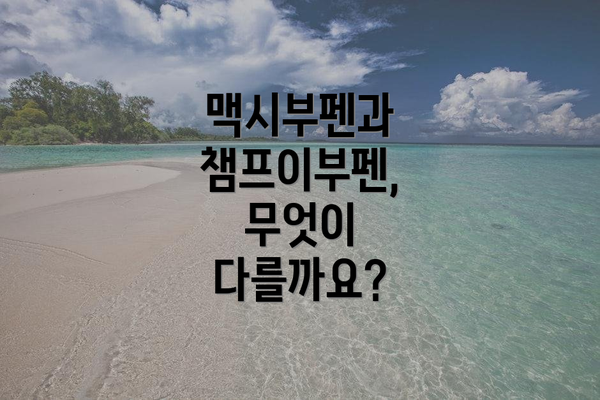 맥시부펜과 챔프이부펜, 무엇이 다를까요?
