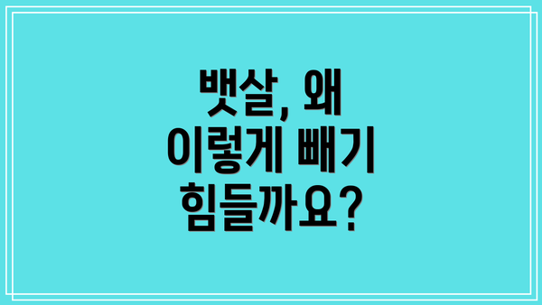 뱃살, 왜 이렇게 빼기 힘들까요?