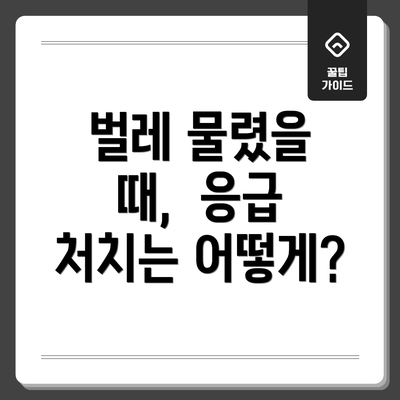 벌레 물렸을 때,  응급 처치는 어떻게?