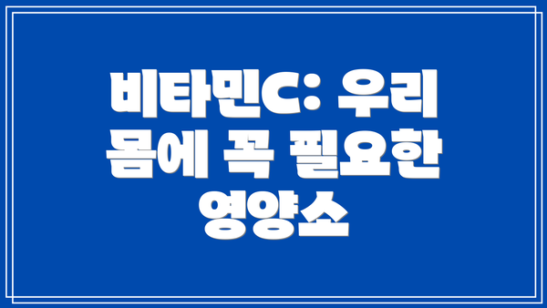 비타민C: 우리 몸에 꼭 필요한 영양소