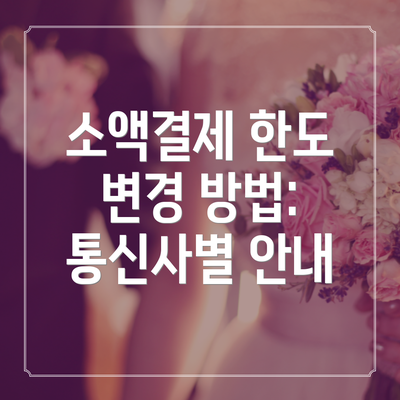 소액결제 한도 변경 방법: 통신사별 안내