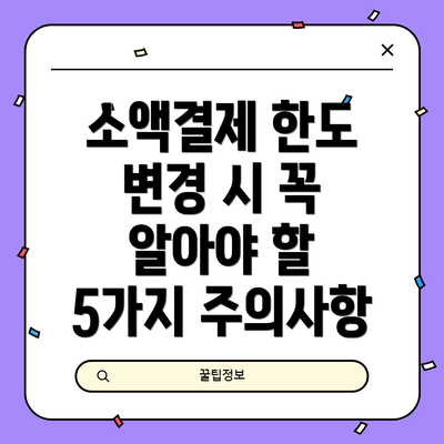 소액결제 한도 변경 시 꼭 알아야 할 5가지 주의사항