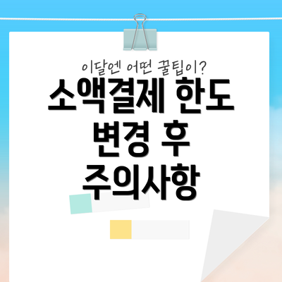 소액결제 한도 변경 후 주의사항