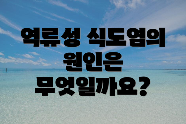 역류성 식도염의 원인은 무엇일까요?