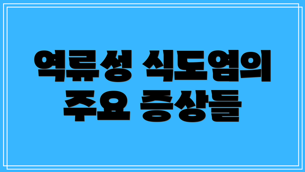 역류성 식도염의 주요 증상들