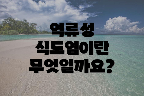 역류성 식도염이란 무엇일까요?