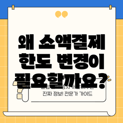 왜 소액결제 한도 변경이 필요할까요?