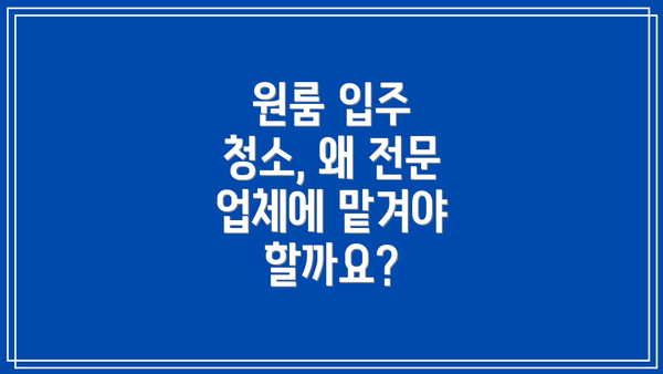 원룸 입주 청소, 왜 전문 업체에 맡겨야 할까요?