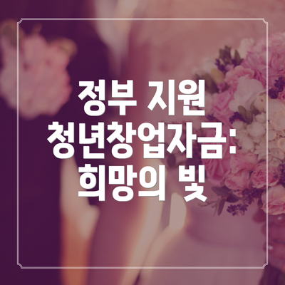 정부 지원 청년창업자금: 희망의 빛