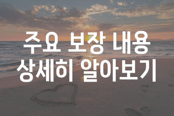 주요 보장 내용 상세히 알아보기