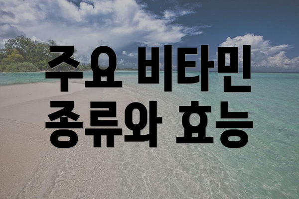 주요 비타민 종류와 효능