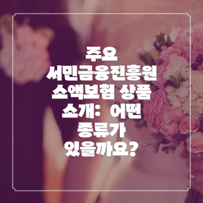 주요 서민금융진흥원 소액보험 상품 소개:  어떤 종류가 있을까요?
