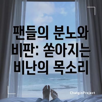 팬들의 분노와 비판: 쏟아지는 비난의 목소리